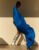 hanging_on_reduced