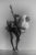 hanging_on_reduced